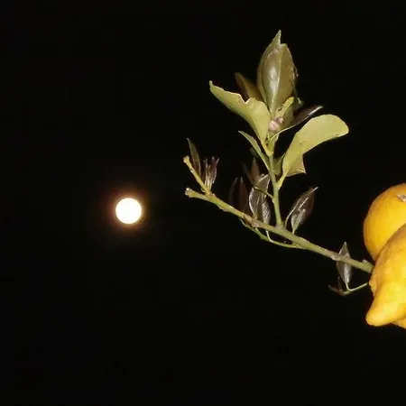 De Angelis ベッド・アンド・ブレックファスト