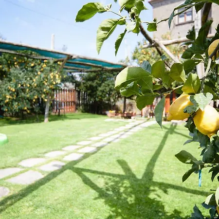 ベッド・アンド・ブレックファスト De Angelis