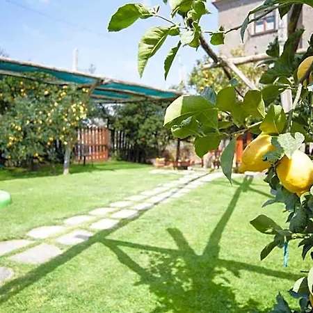 Bed & Breakfast De Angelis 4*