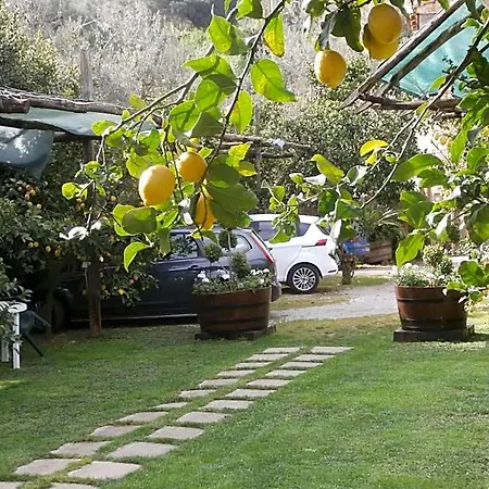 De Angelis Bed & Breakfast Sorrento