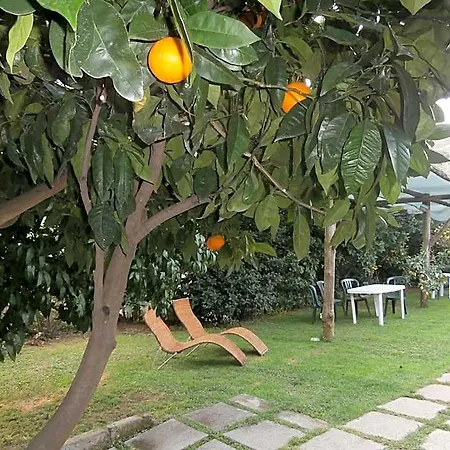 Bed & Breakfast De Angelis 4*