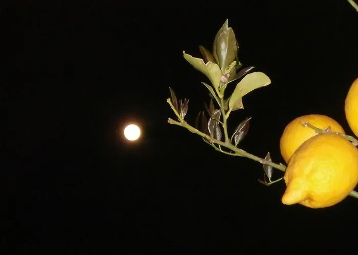 De Angelis לינה וארוחת בוקר